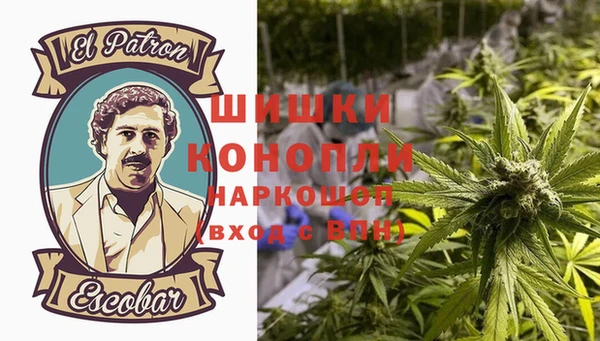 дмт Алзамай